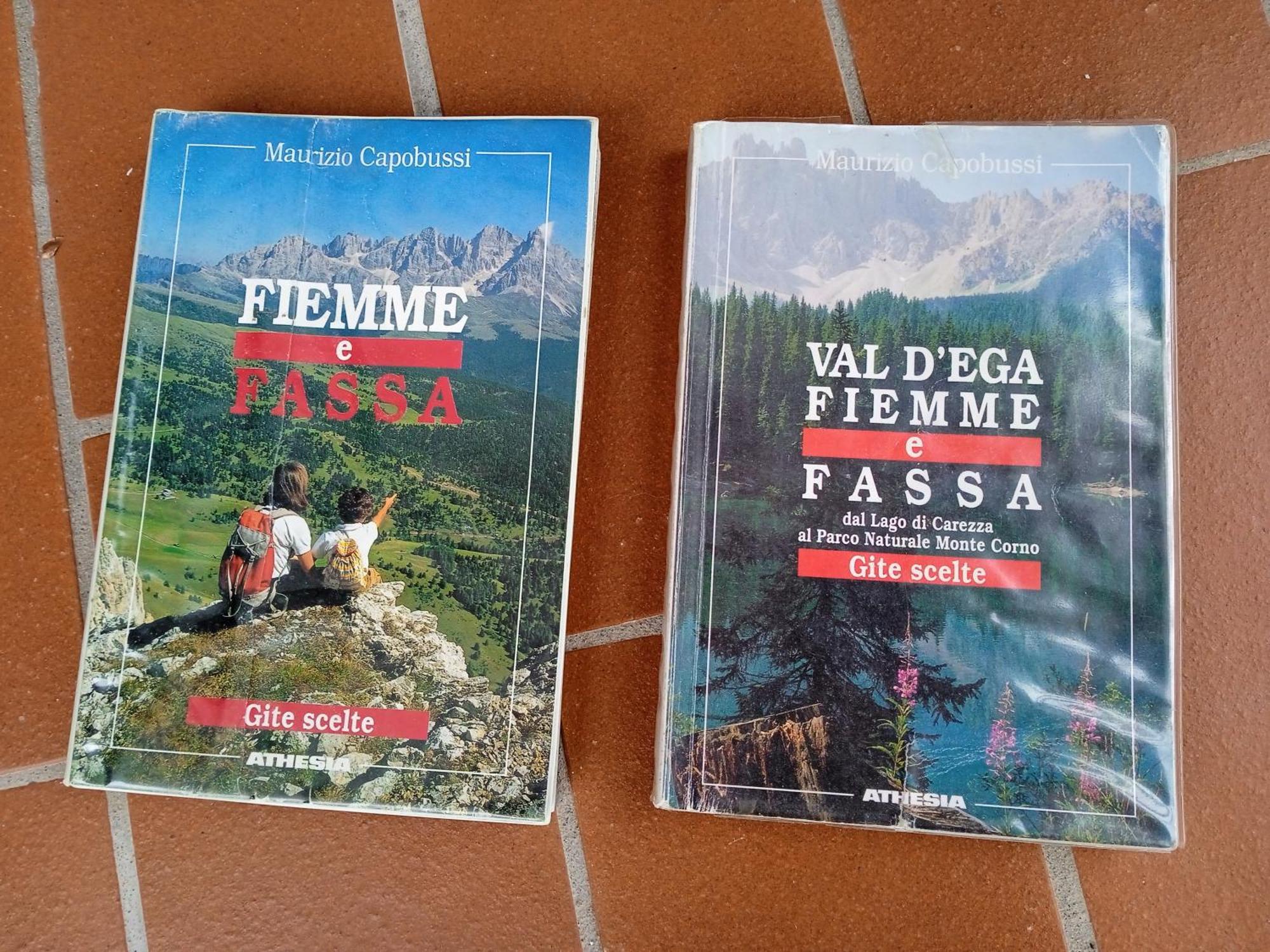 Appartamento Tiziana Val Di Fiemme Carano  Ngoại thất bức ảnh