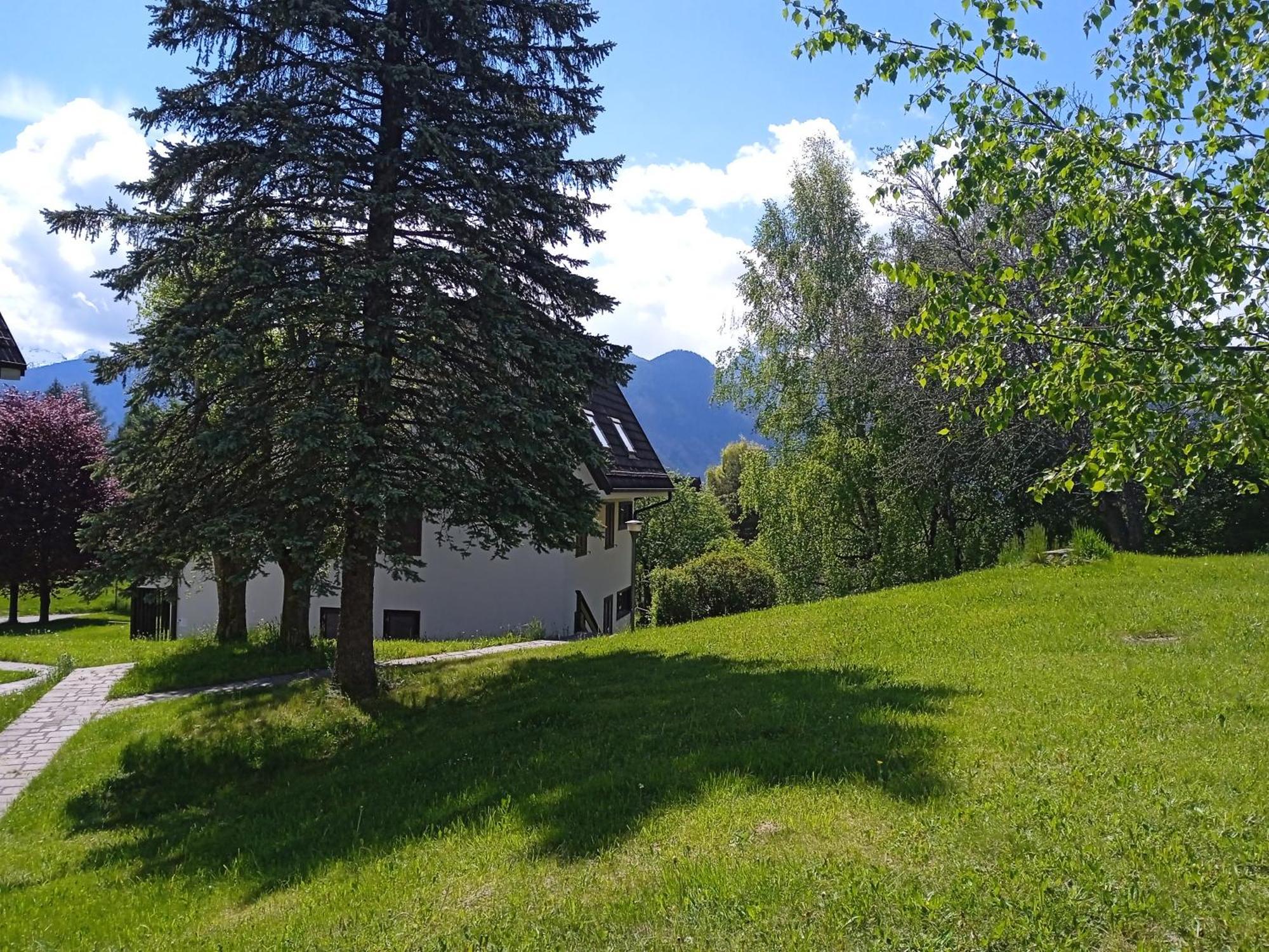 Appartamento Tiziana Val Di Fiemme Carano  Ngoại thất bức ảnh