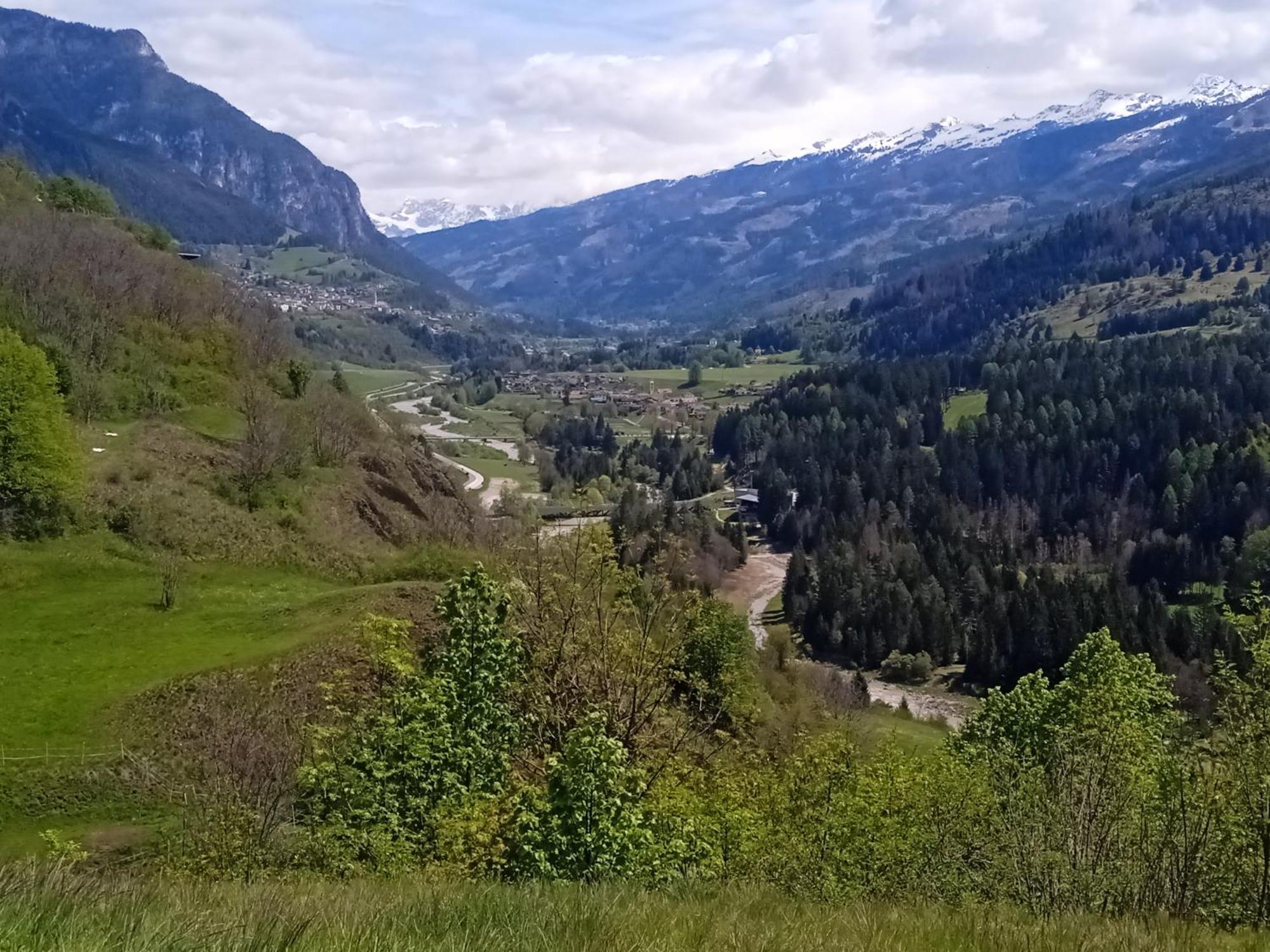 Appartamento Tiziana Val Di Fiemme Carano  Ngoại thất bức ảnh