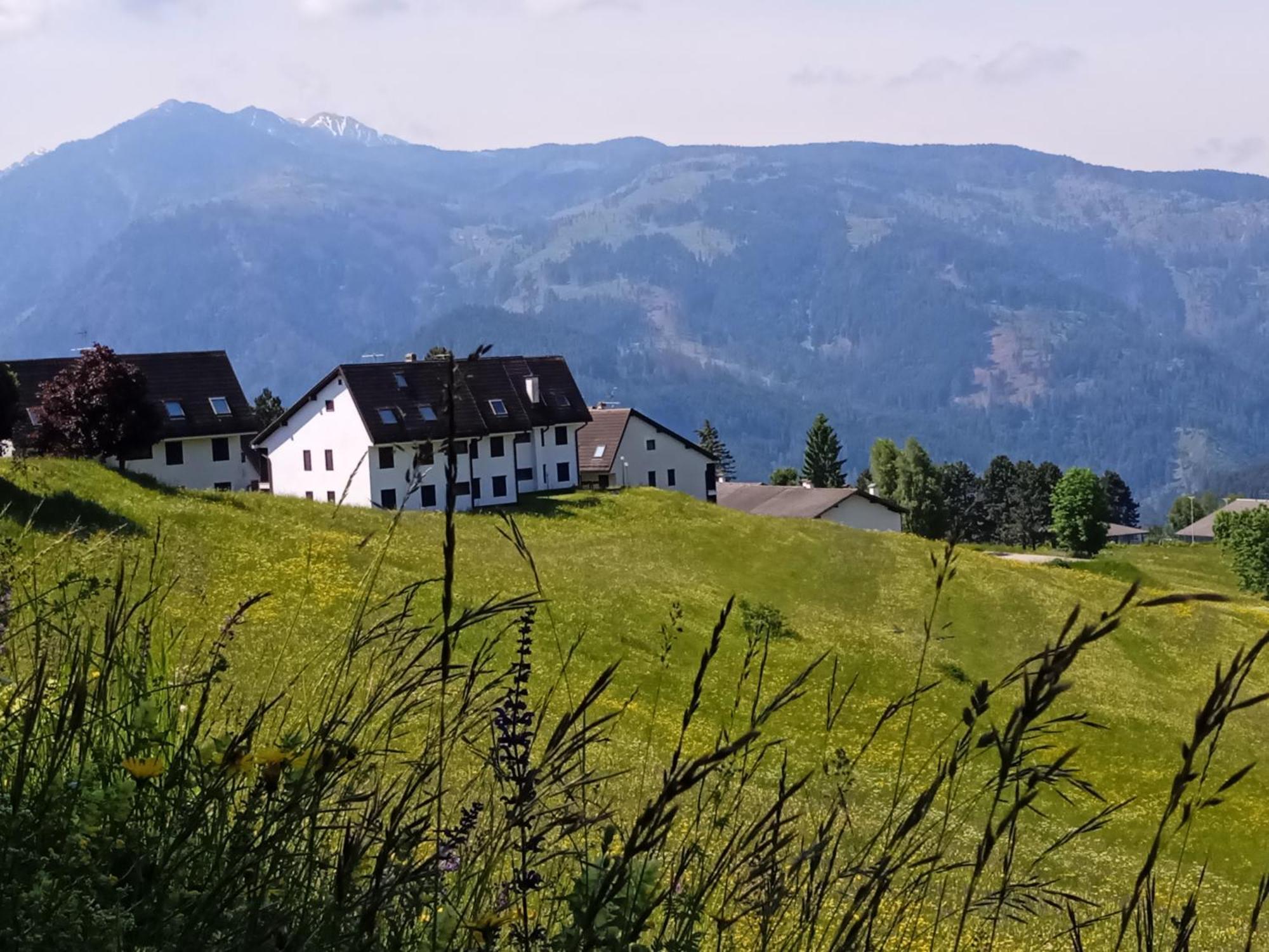 Appartamento Tiziana Val Di Fiemme Carano  Ngoại thất bức ảnh