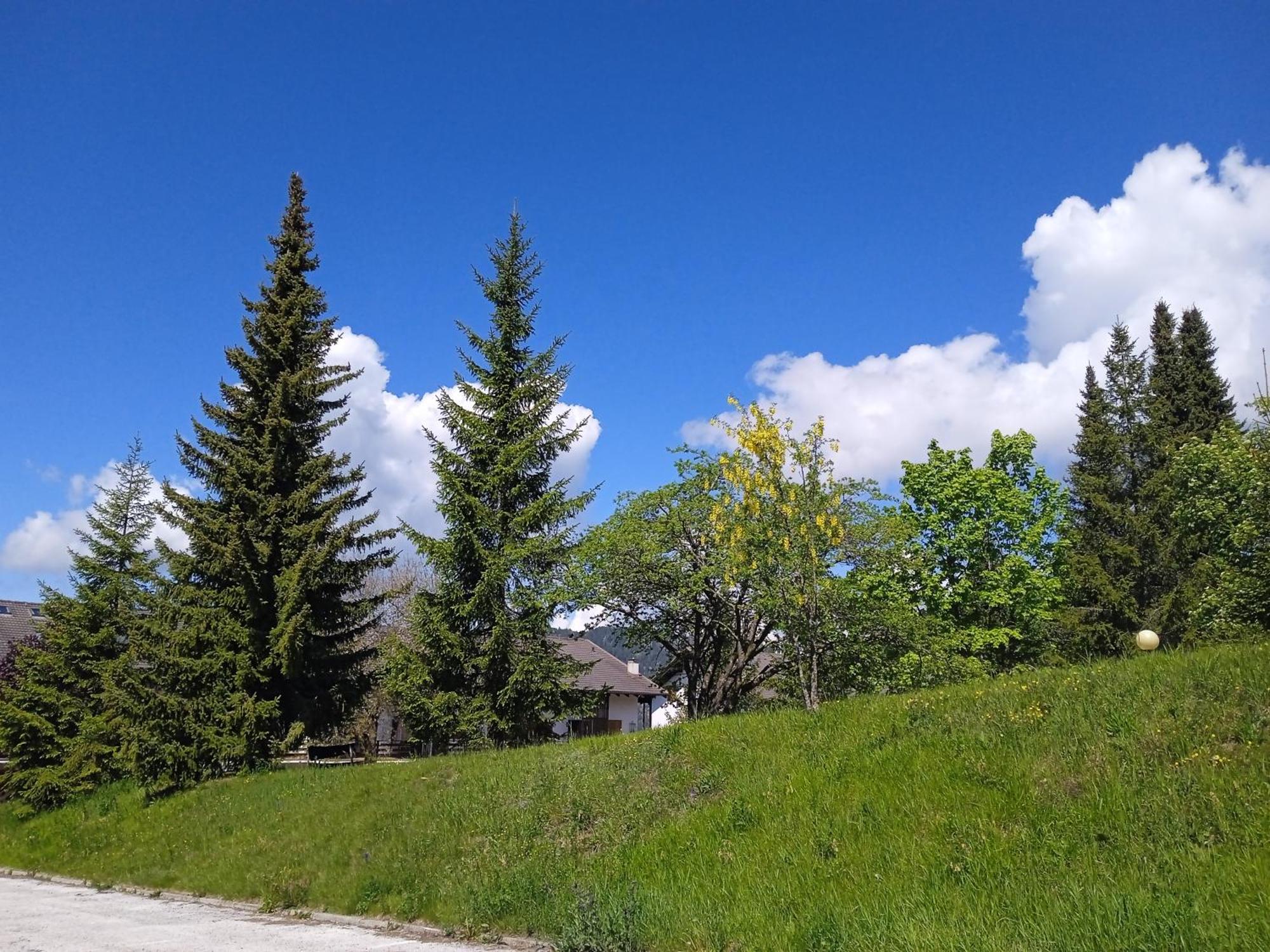 Appartamento Tiziana Val Di Fiemme Carano  Ngoại thất bức ảnh