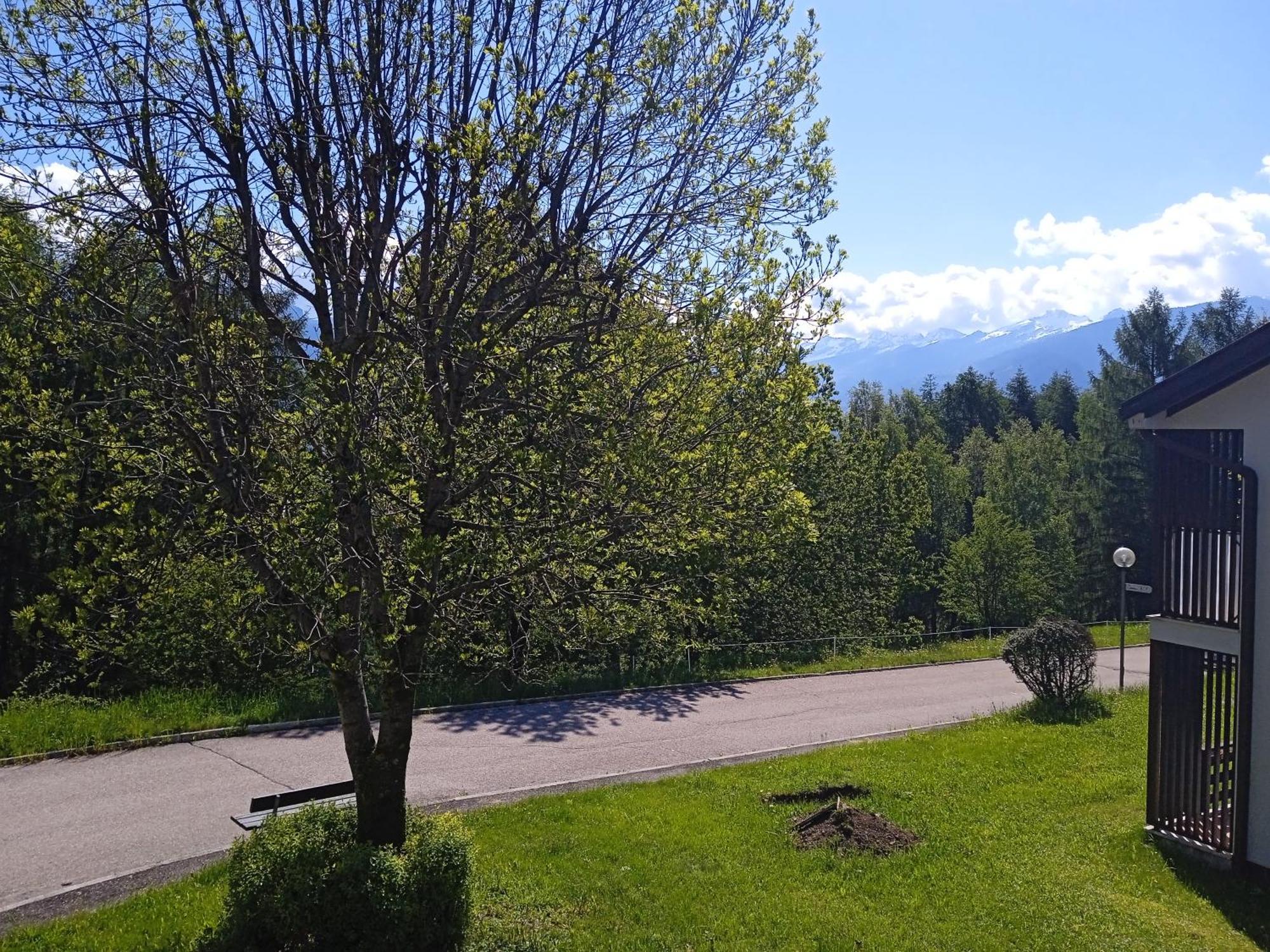 Appartamento Tiziana Val Di Fiemme Carano  Ngoại thất bức ảnh