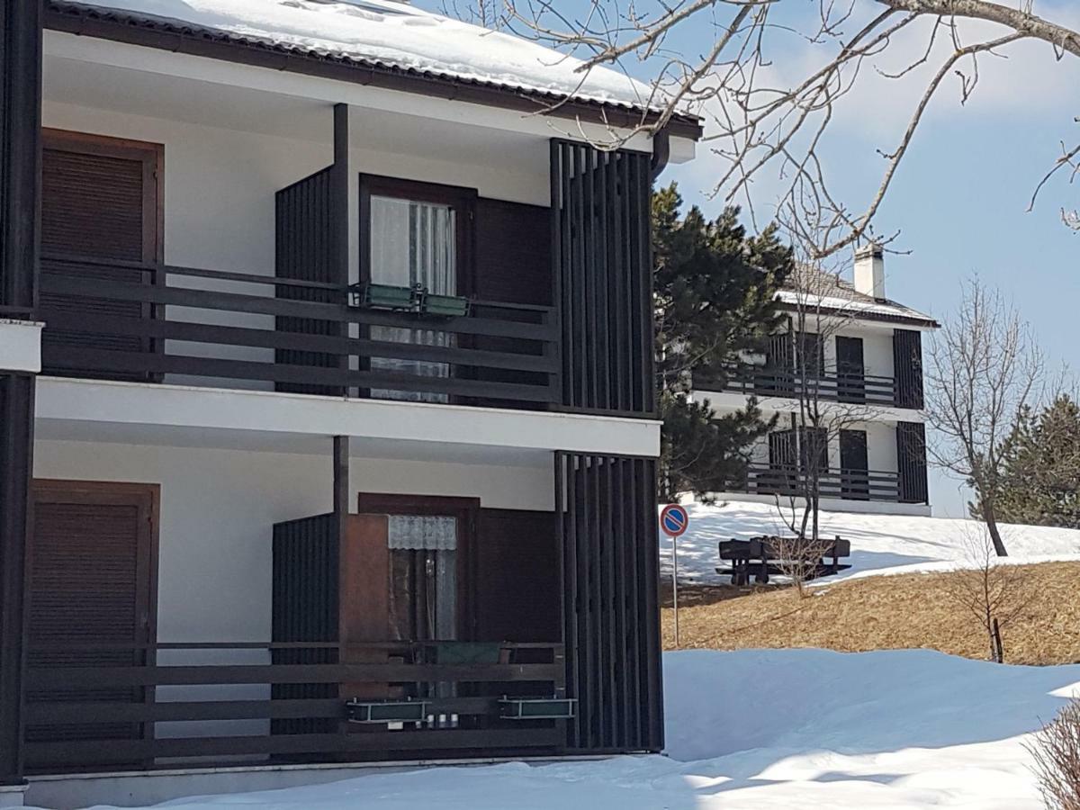 Appartamento Tiziana Val Di Fiemme Carano  Ngoại thất bức ảnh